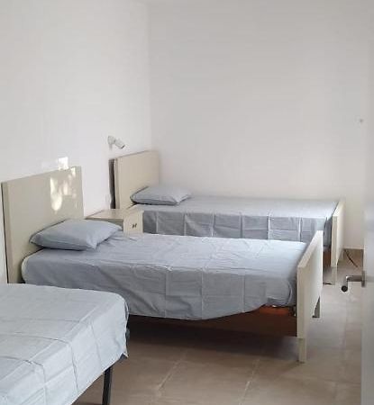 Pis Carretera Santa Pau Apartment Олот Екстериор снимка